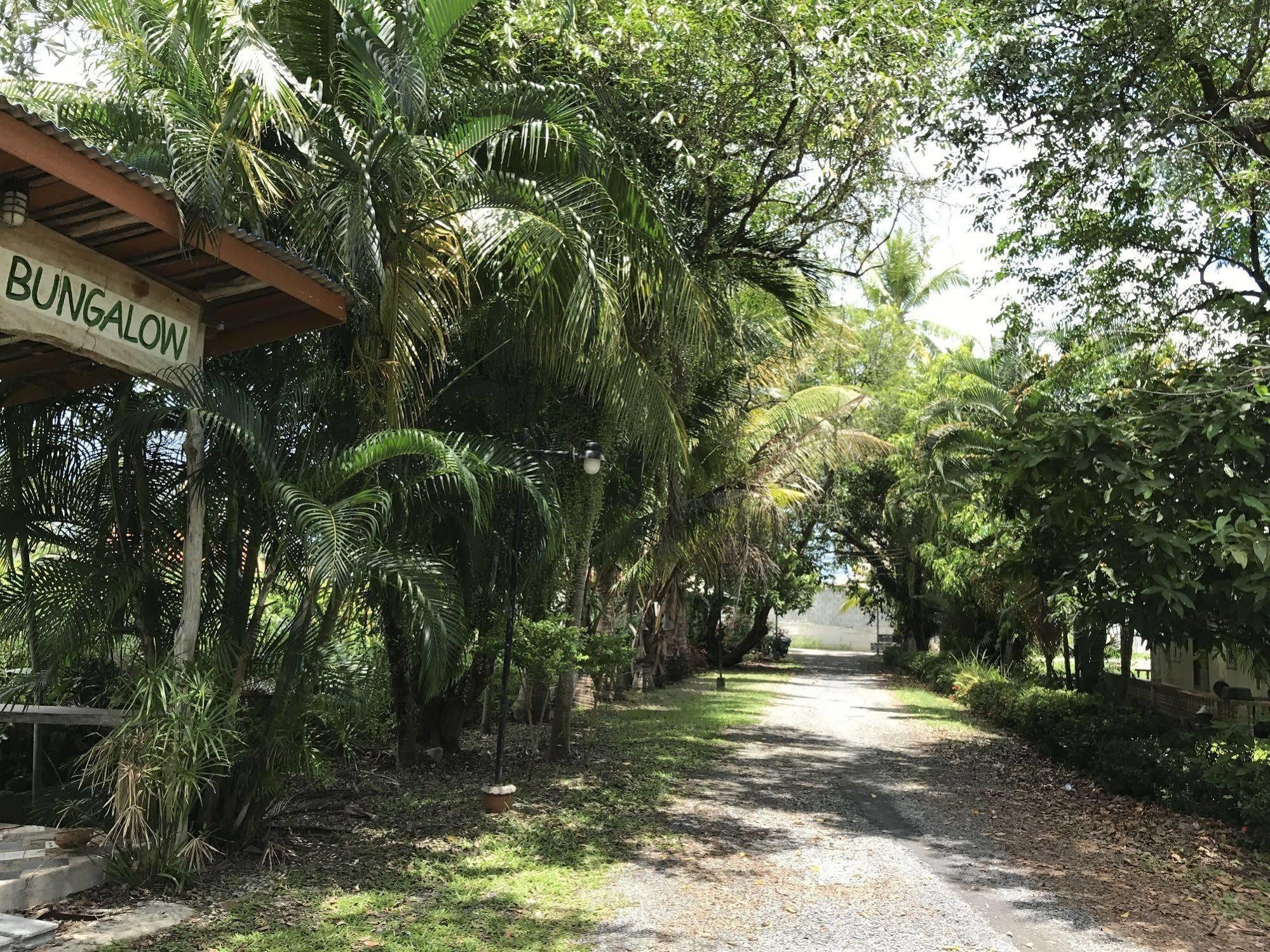 Coconut Bungalow Hotel Nai Yang Beach Exterior foto